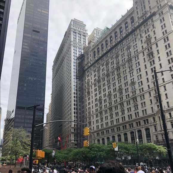 Meet your Posher, Zipporah - Picture 1 of 1